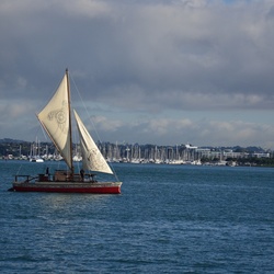 2017-03 New Zealand/Rangitoto/DSC_0091.JPG